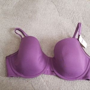 Cacique Bra - Purple
